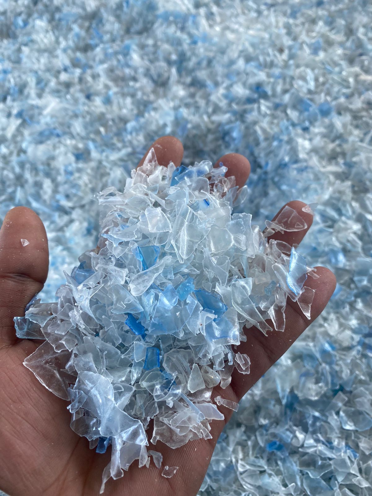 Gambar WhatsApp 2024-11-12 pukul 21.25.57